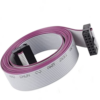 14Pin Flat Ribbon Cable Female To Female 2.54mm 20CM (A Type FRC Cable)-srkelectronics.in