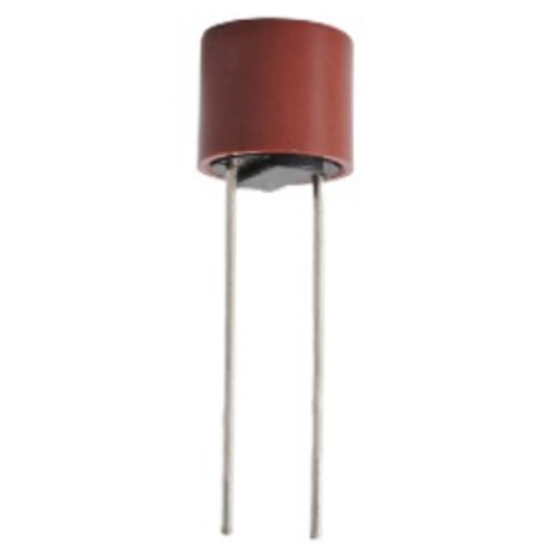 5A Round Fuse-srkelectronics.in